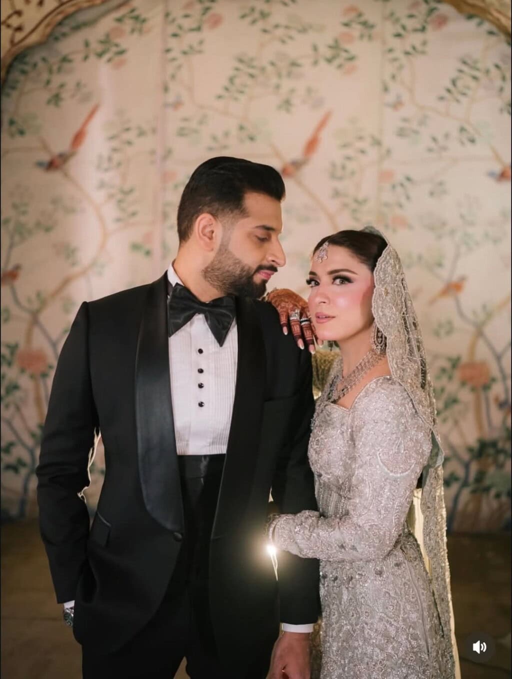 Pakistani Celebrity Weddings 2025