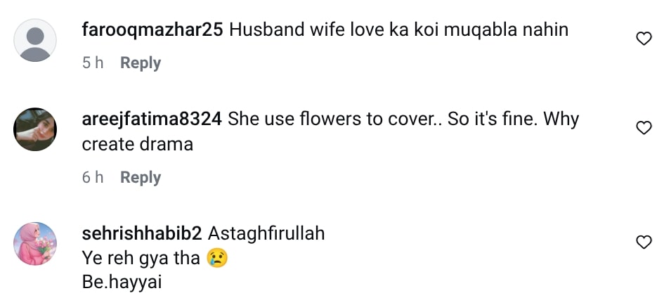 Public Divided Over Hina Niazi Kissing Her Husband