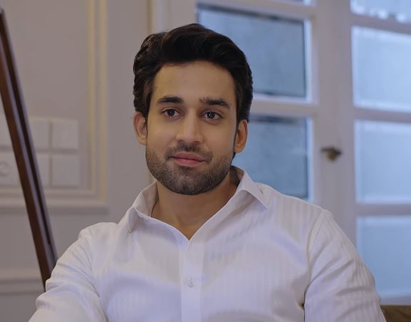 Is Kamiyar From Meri Zindagi Hai Tu Deceiving Ayra
