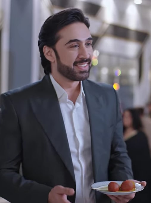 Meri Zindagi Hai Tu Epsode 12 – Ali Rehman Khan Termed Chichora Cousin