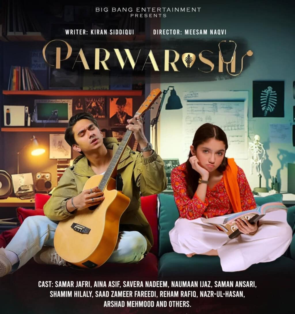 Top 10 Pakistani Dramas OSTs Of 2025