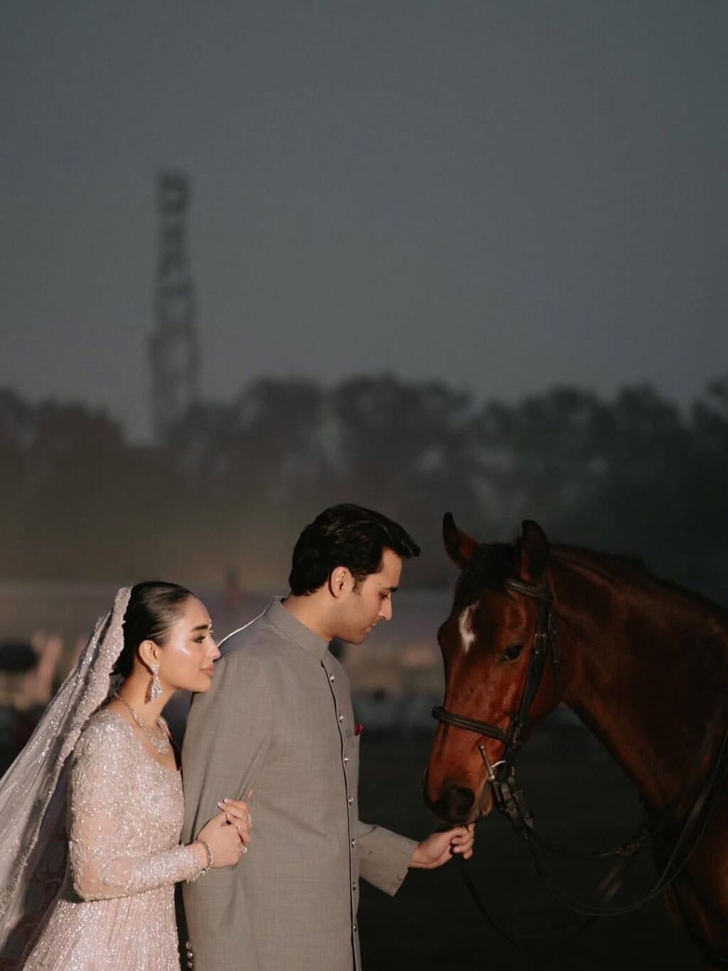 Junaid Safdar Walima Event Pictures