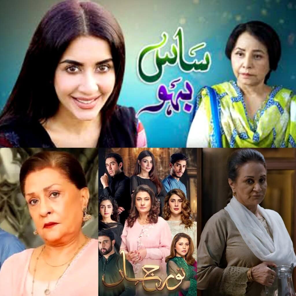 Samina Ahmed Speaks in Favor of Saas Bahu Dramas