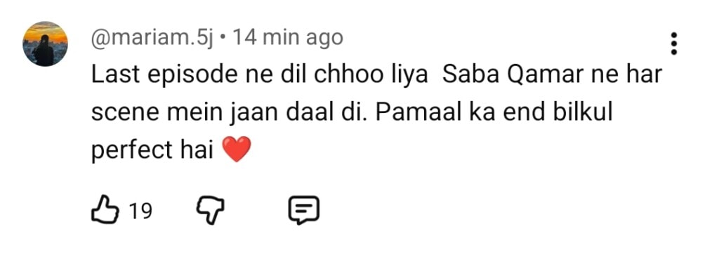 Pamaal Last Episode Public Reaction