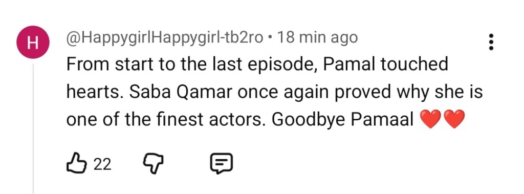 Pamaal Last Episode Public Reaction