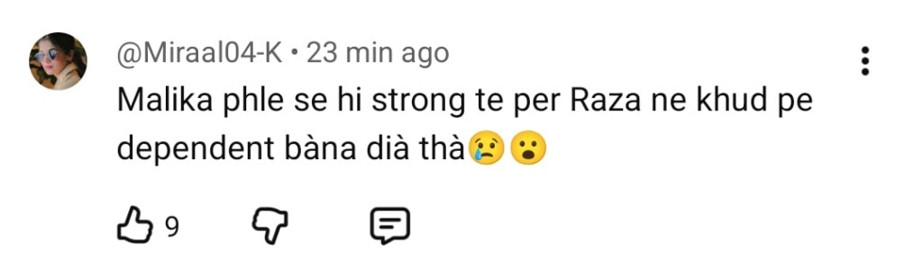 Pamaal Last Episode Public Reaction