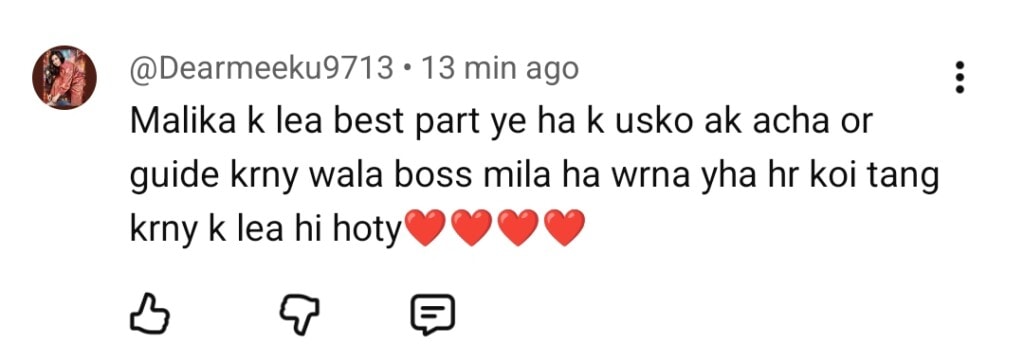 Pamaal Last Episode Public Reaction