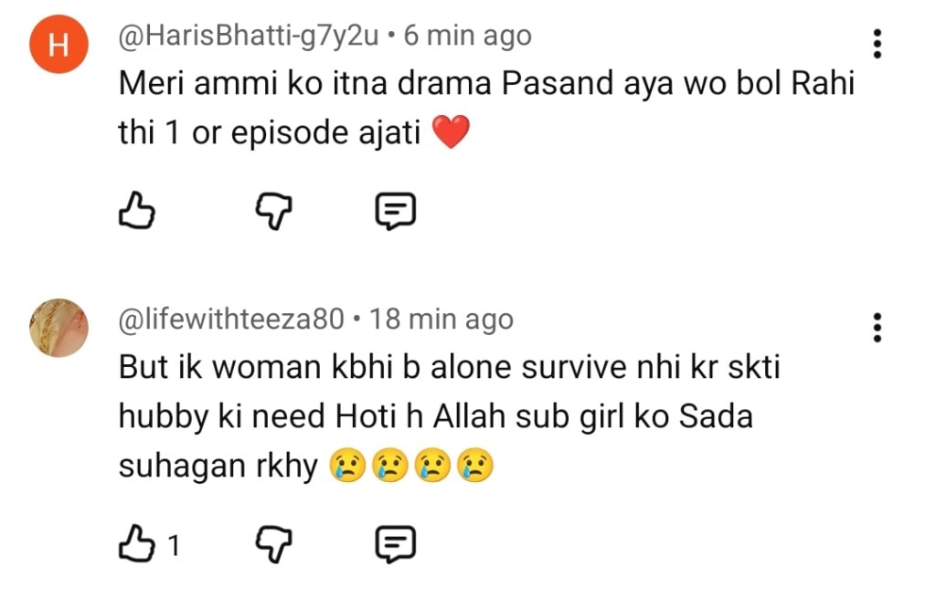Pamaal Last Episode Public Reaction