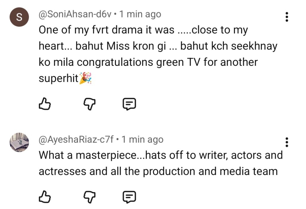 Pamaal Last Episode Public Reaction