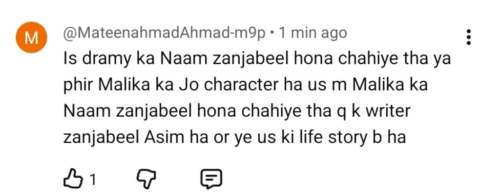 Pamaal Last Episode Public Reaction