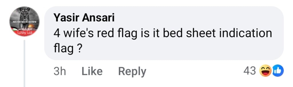 Iqrar Ul Hassan’s Party Launch & Flag Design Trolled