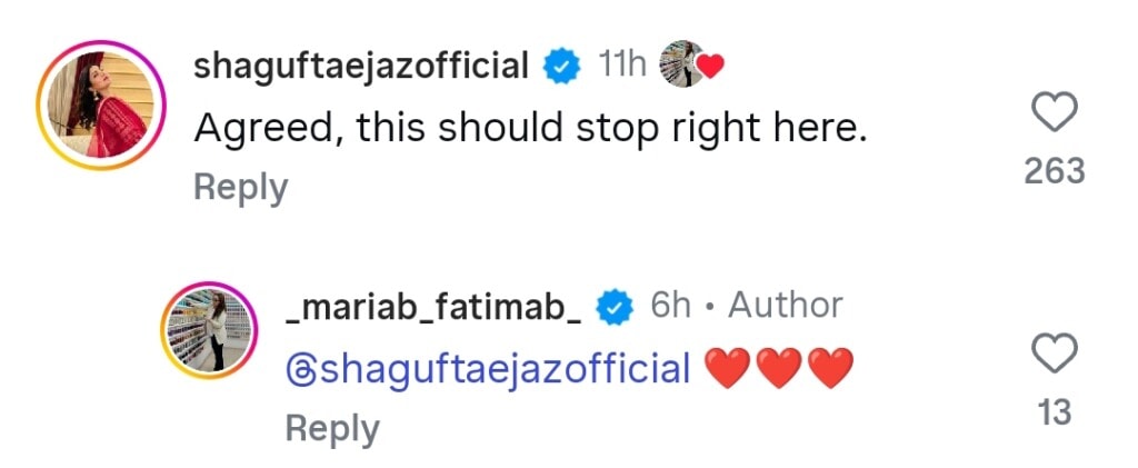 Maria B Calls Out Meri Zindagi Hai Tu for Showing Trans As Woman