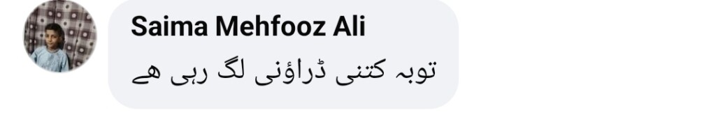 Nida Yasir’s Recent Look Gets Trolled