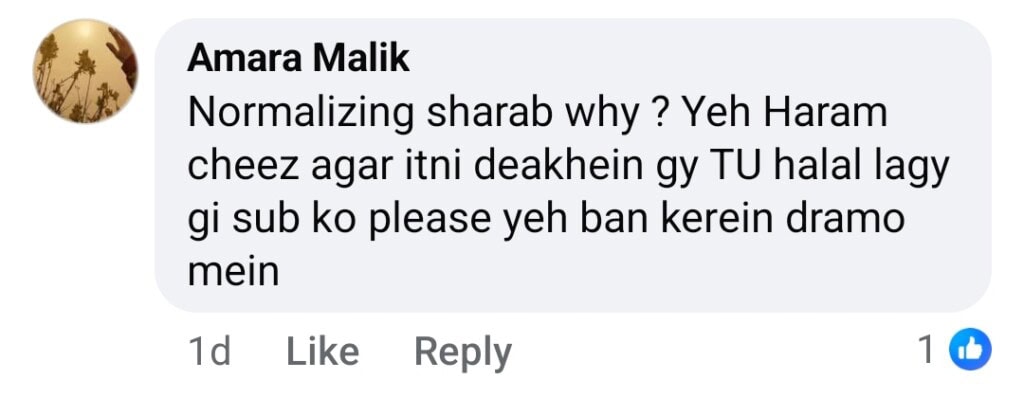 Viewers Mock Nadia Khan for Praising Zaviyar Nauman’s Acting