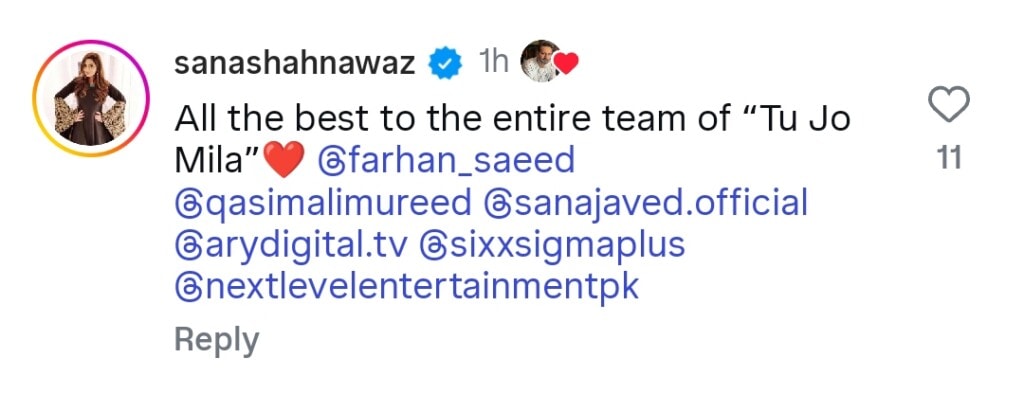 Sana Javed Upcoming Drama Details