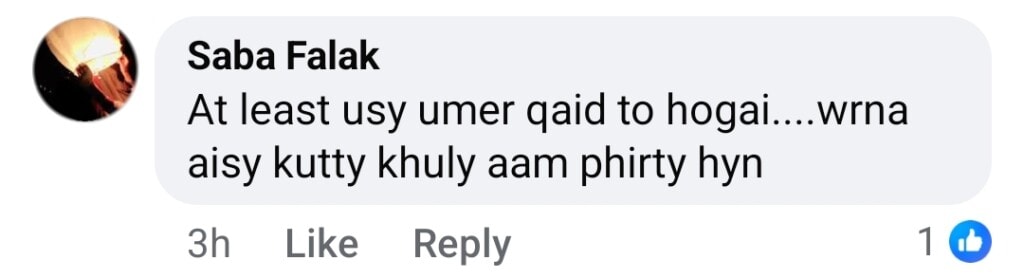 Is Aik Aur Pakeezah based on True events