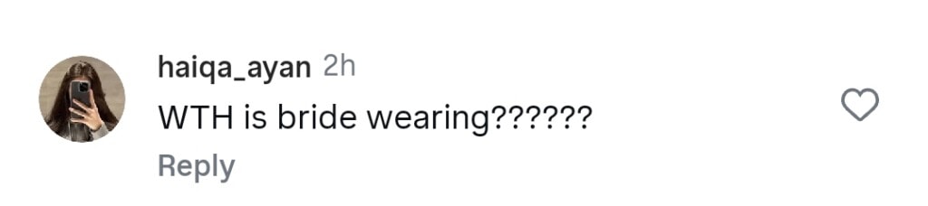 Sabeena Syed’s Wedding Dress & Look Heavily Trolled