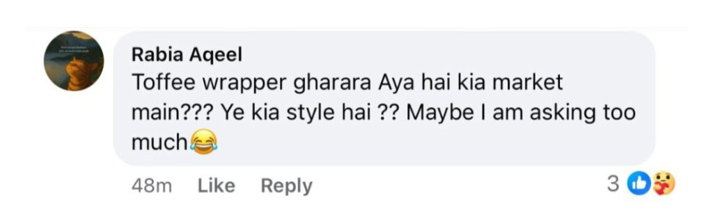 Sabeena Syed’s Wedding Dress & Look Heavily Trolled