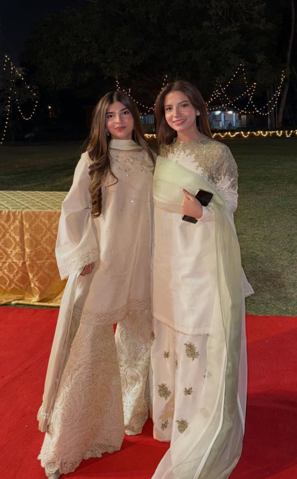 Dananeer Mobeen’s Sister’s Cringe Birthday Celebration Trolled