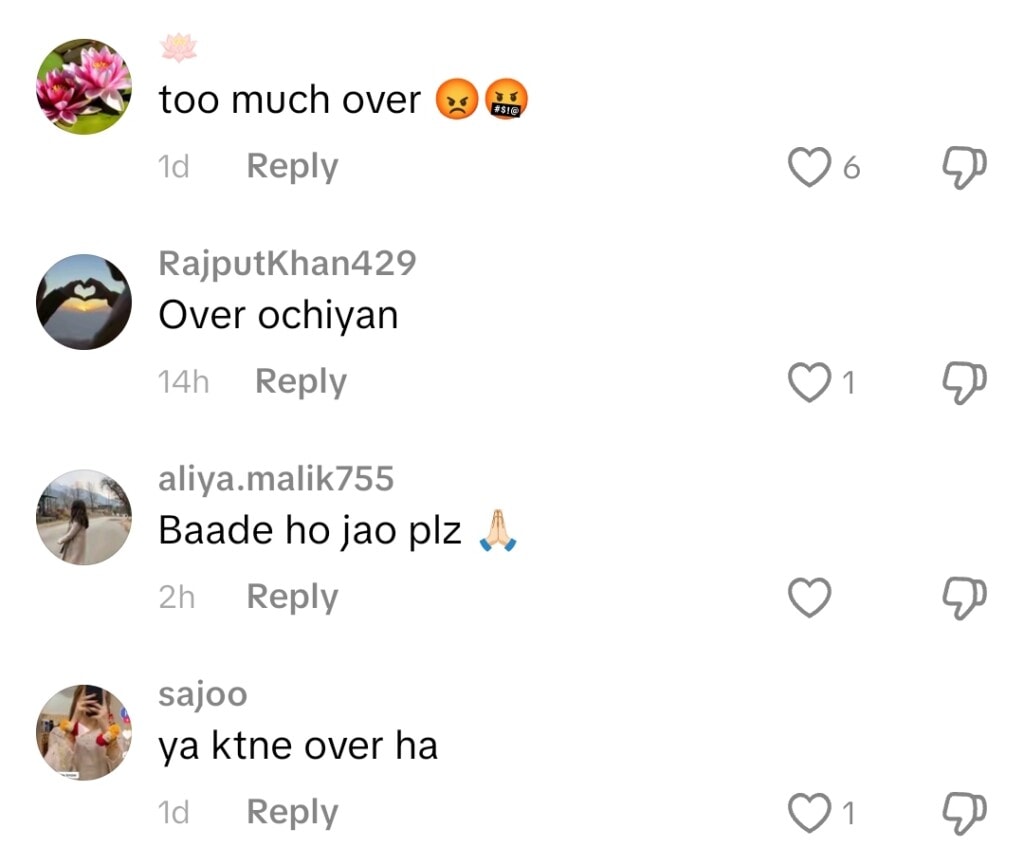 Dananeer Mobeen’s Sister’s Cringe Birthday Celebration Trolled