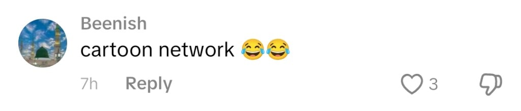 Dananeer Mobeen’s Sister’s Cringe Birthday Celebration Trolled