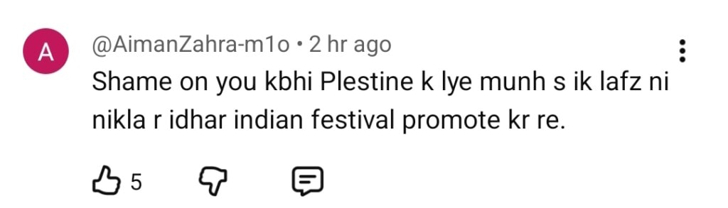Nida Yasir’s Basant Celebration Faces Backlash