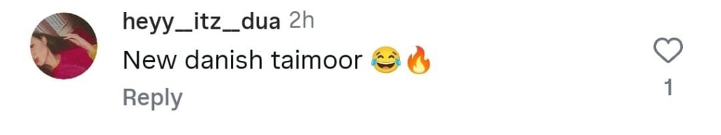 Is Muneeb Butt Copying Danish Taimoor