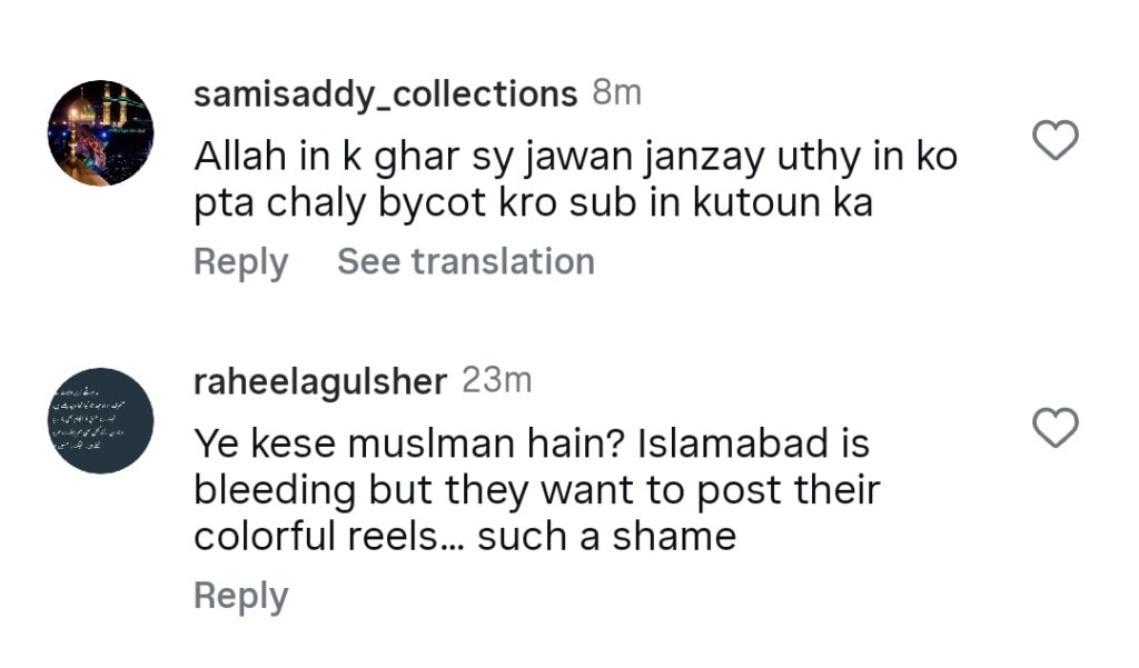 Pakistani Celebrities Heavily Criticized for Basant Celebrations