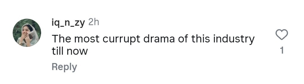 Meri Zindagi Hai Tu Criticized For Normalizing Toxicity