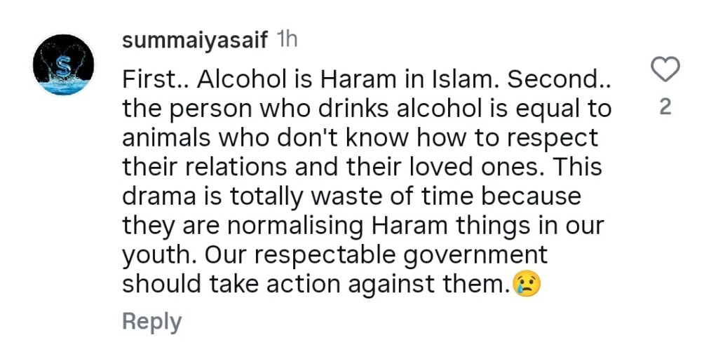 Meri Zindagi Hai Tu Criticized For Normalizing Toxicity