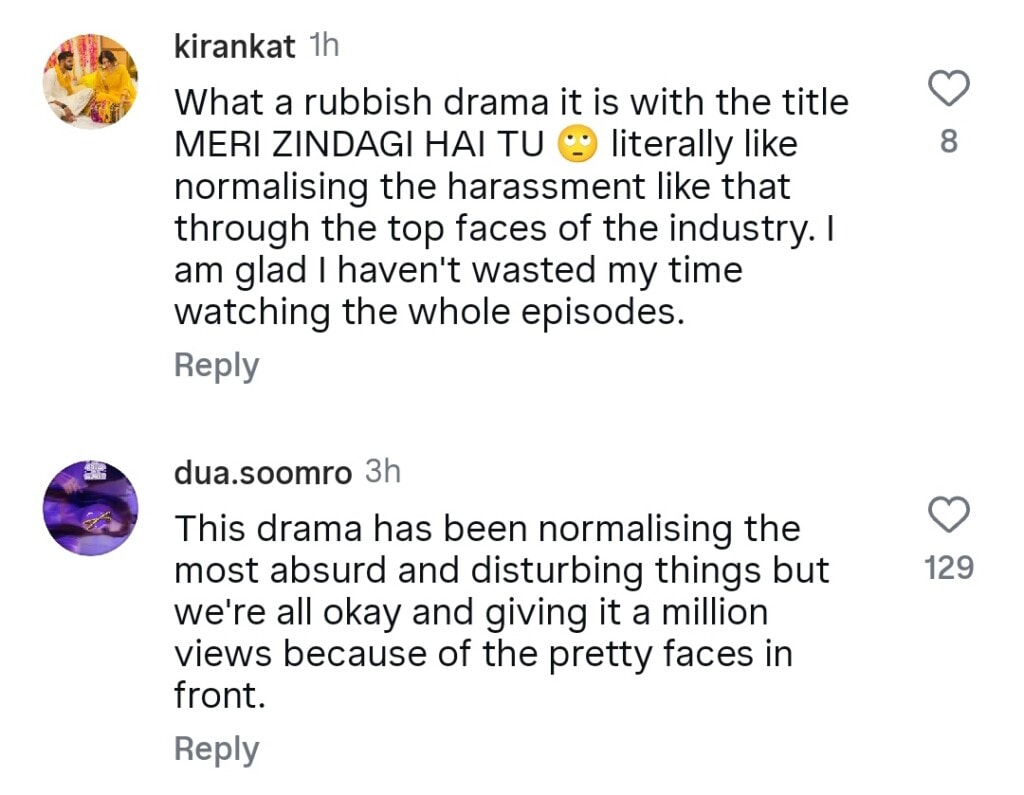 Meri Zindagi Hai Tu Criticized For Normalizing Toxicity
