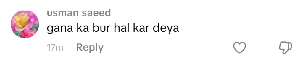 Dr Nabiha Ali Khan’s Singing Trolled