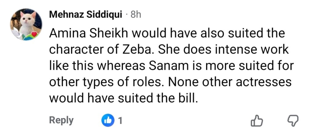 Sanam Saeed & Emmad Irfani Were Not The First Choice in Kafeel