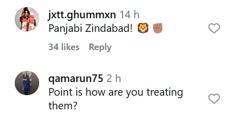 Saheefa Jabbar’s Pathans vs Punjabi Comments Under Criticism