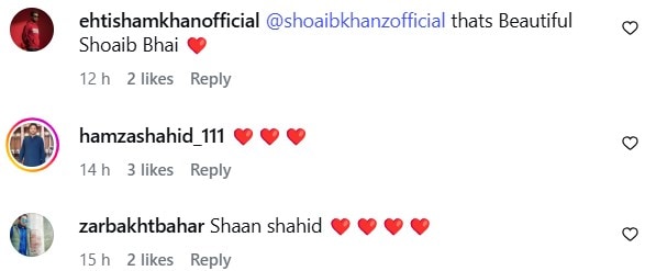 Shaan Shahid Features In Spiritual Lajpalan Video