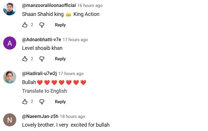 Shaan Shahid Starrer Bullah Intense Trailer Out