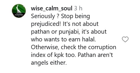 Saheefa Jabbar’s Pathans vs Punjabi Comments Under Criticism