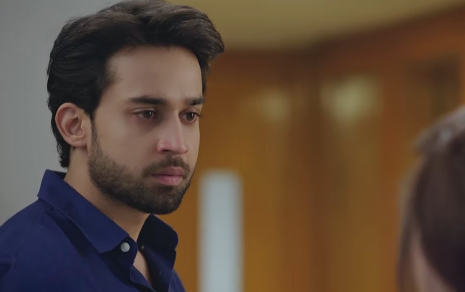 Meri Zindagi Hai Tu Last Episode – Viewers Don’t Want a Happy Ending