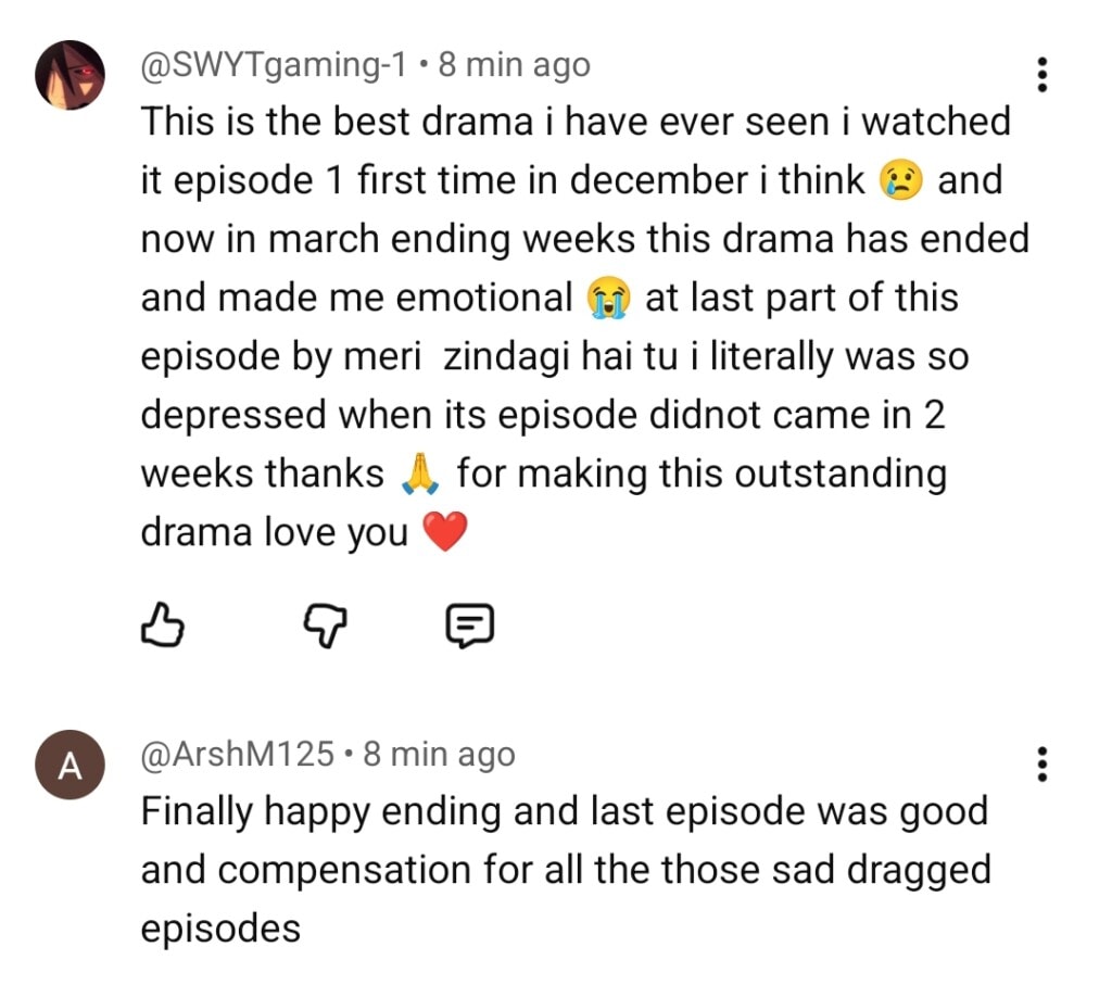 Meri Zindagi Hai Tu Last Episode Public Reaction