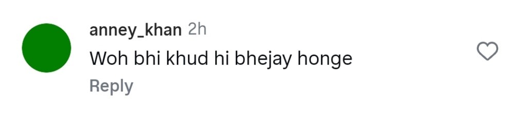 Rajab Butt Called Temu Version of Salman Khan After Balcony Appearance