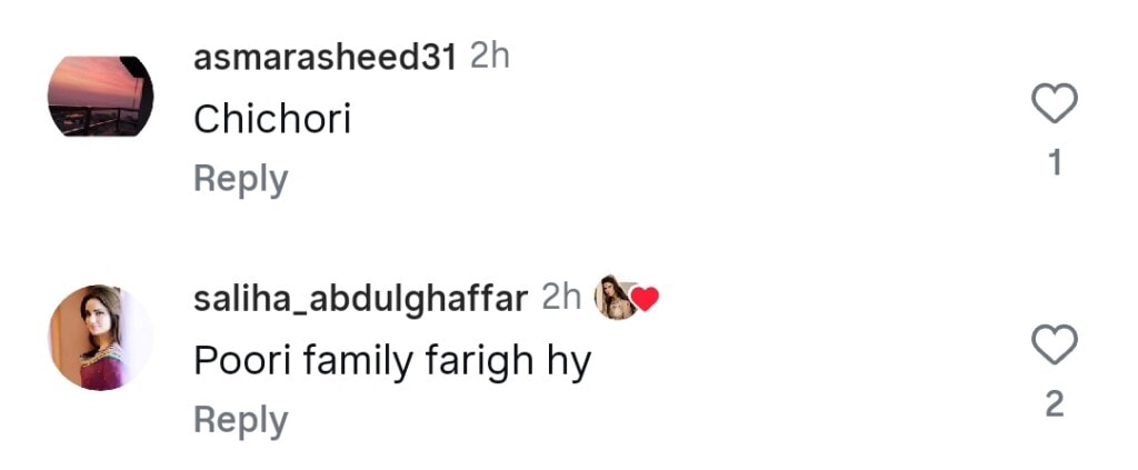 Fiza Ali’s Family Video with Husband & Daughter Raises Questions