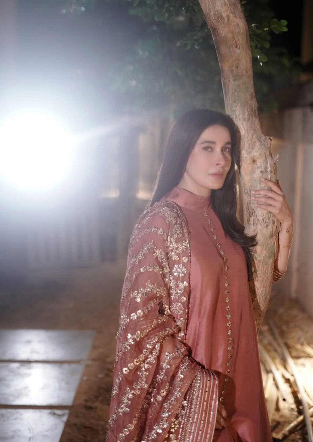Celebrities Looks From Eid Ul Fitr 2026 Day 3