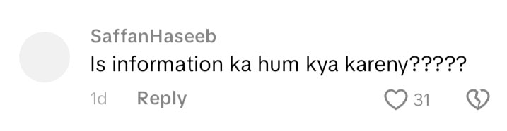 Rabia Anum’s Carefree Samosa Eating Stirs Debate