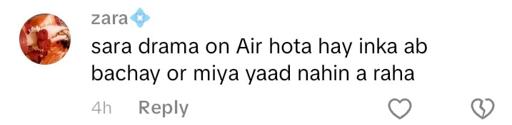 Rabia Anum’s Carefree Samosa Eating Stirs Debate