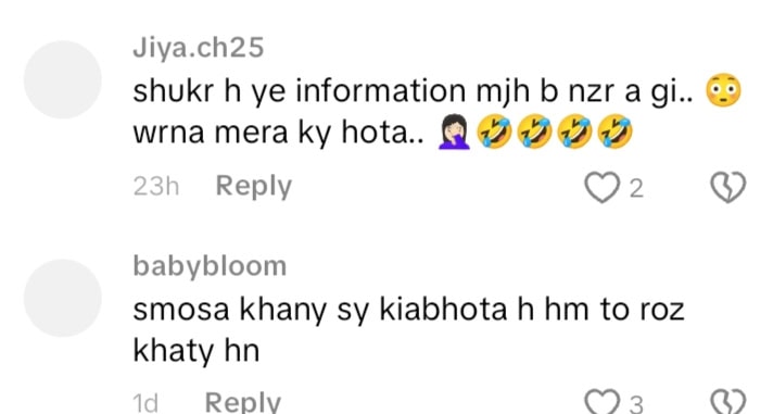 Rabia Anum’s Carefree Samosa Eating Stirs Debate