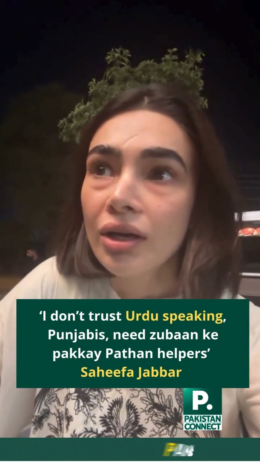 Saheefa Jabbar’s Pathans vs Punjabi Comments Under Criticism