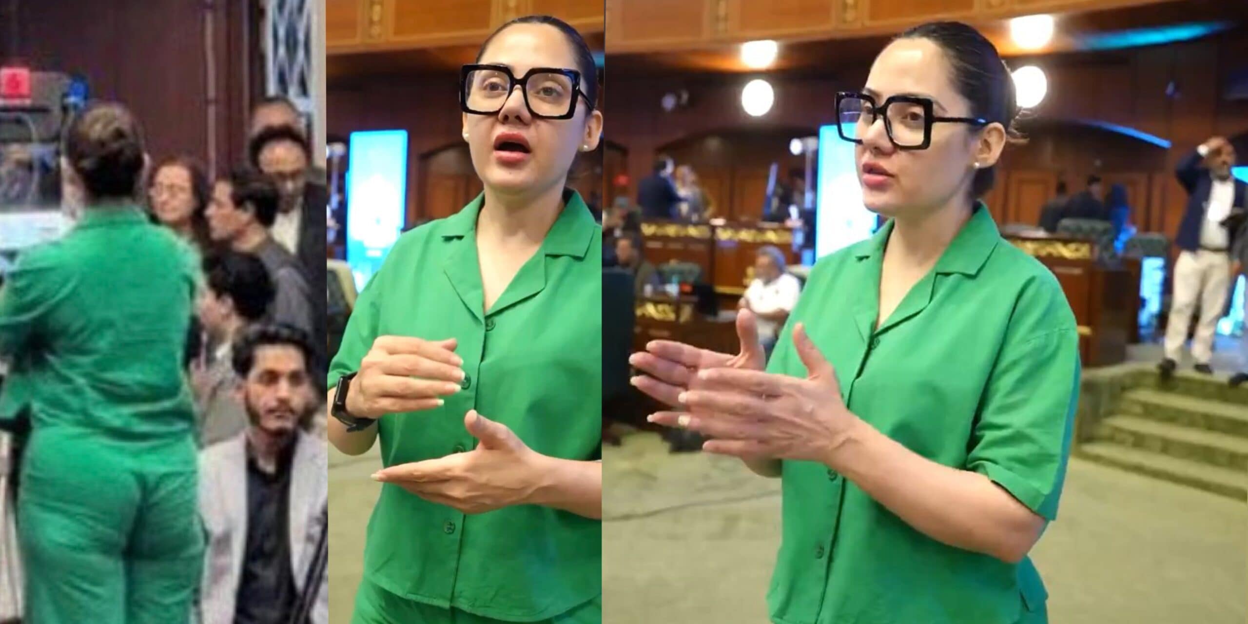 Gharidah Farooqi Responds to Outfit Malfunction Trolling