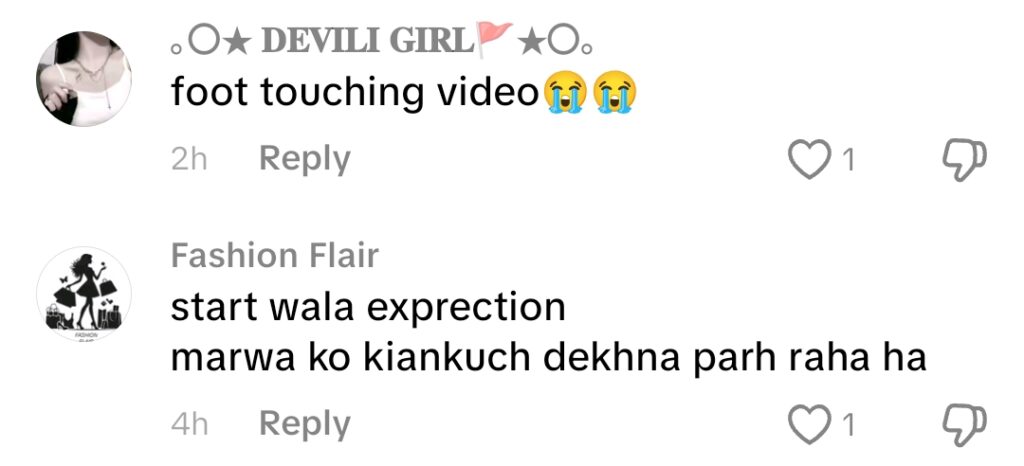 Shehzadi Trolled For Crying Like Mawra Challenge