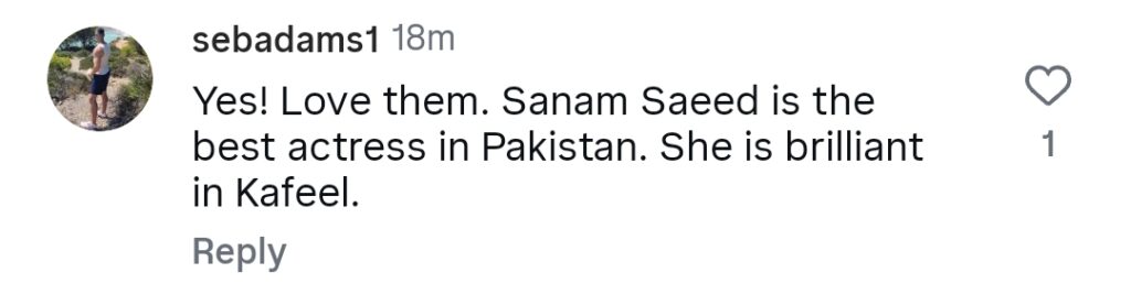 Emaad Irfani & Sanam Saeed Upcoming Drama Details
