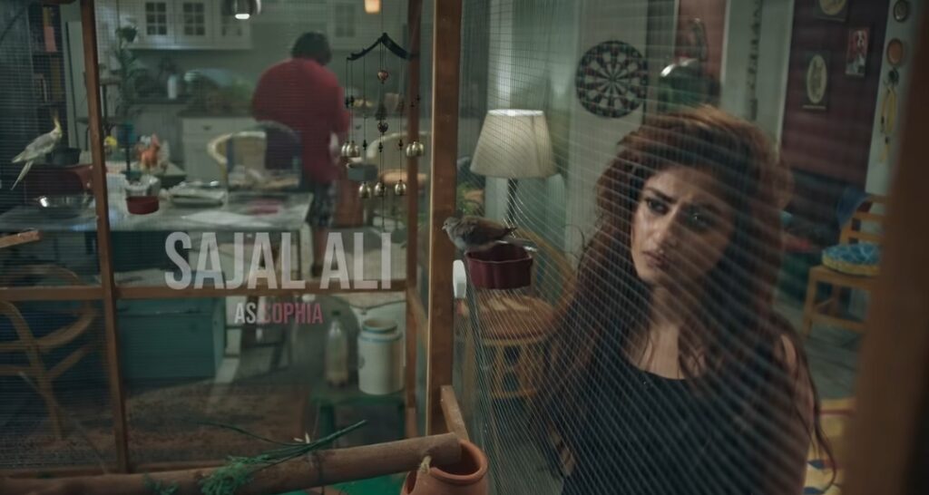 Sajal Aly & Wahaj Ali’s Pink Shirt Trailer & Details